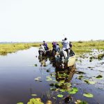 Why is Mabamba Uganda’s Top Wetland Destination?