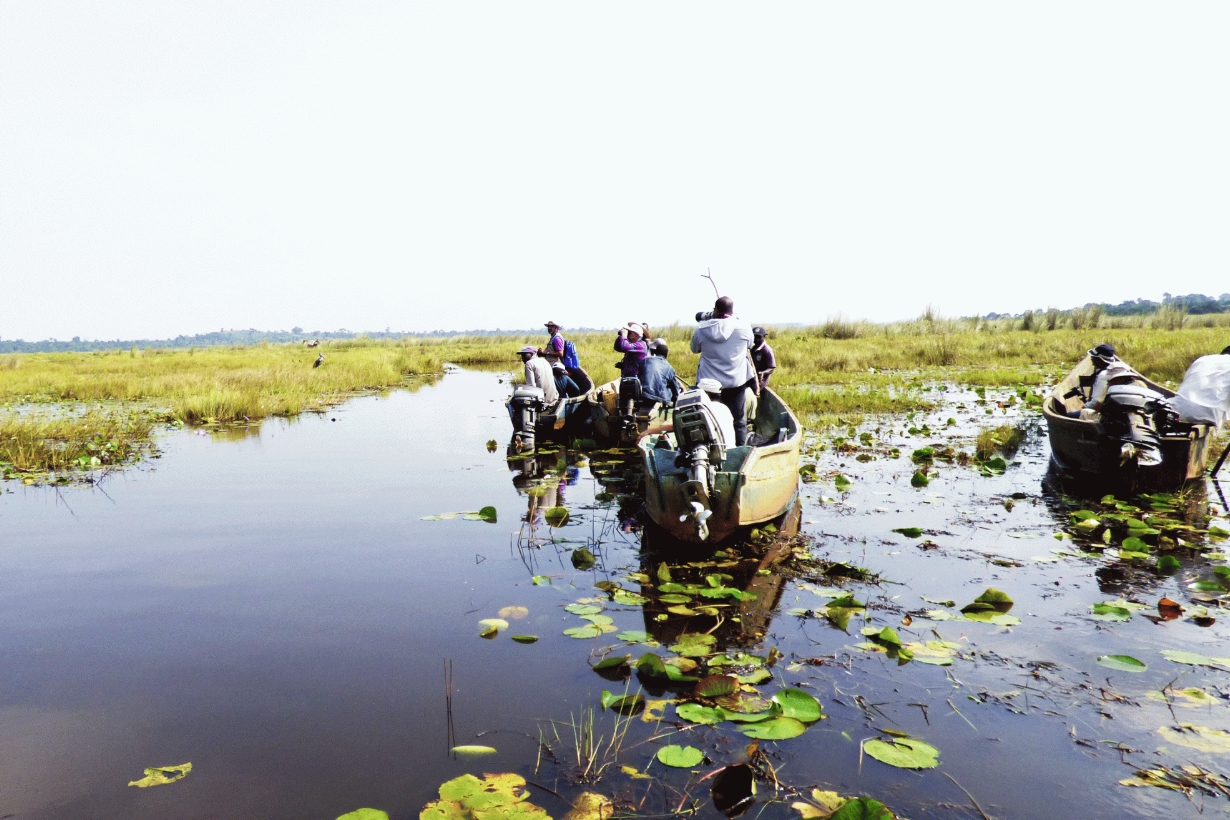 Why is Mabamba Uganda’s Top Wetland Destination?